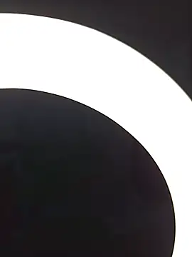 SlBrownCopule webcam