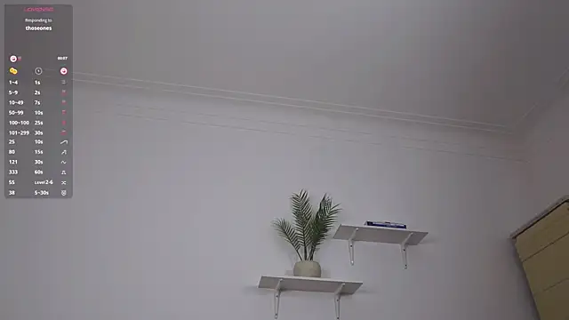 imadri webcam