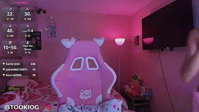TOOKIOG_ webcam