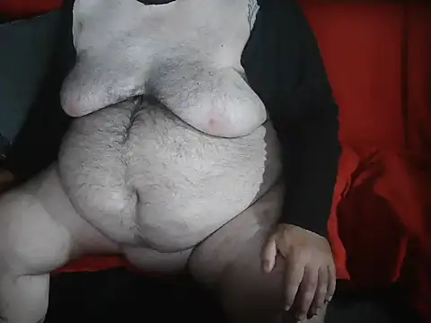 onkelgrau65 webcam