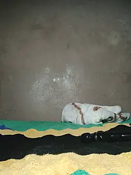 khetyvile webcam
