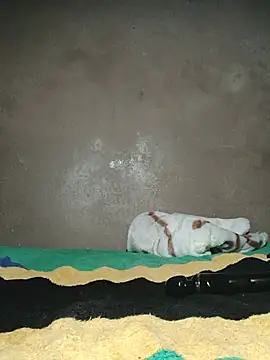 khetyvile webcam