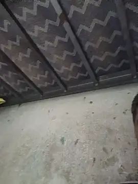 rayhot69 webcam