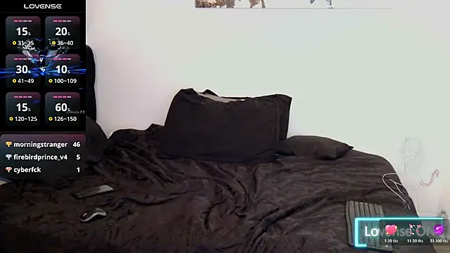 RubyLaStar webcam