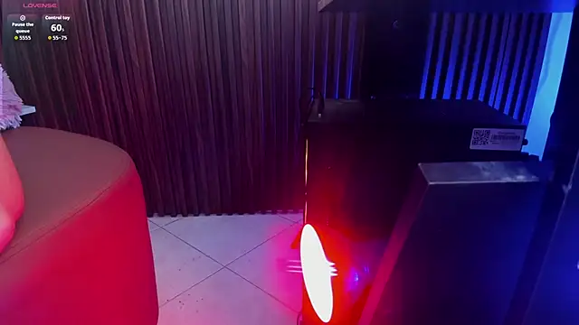 choco_dick_ webcam
