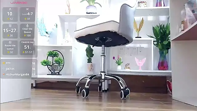 Tianxin6 webcam