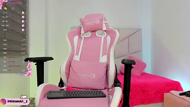 Imhann3 webcam