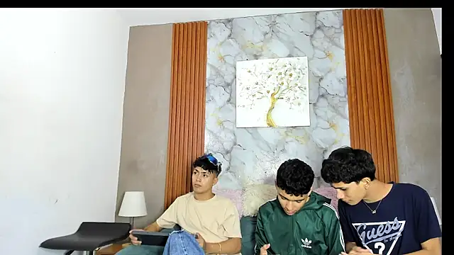 AVENGER_BOYS2026 webcam