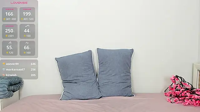 Kiraeko webcam