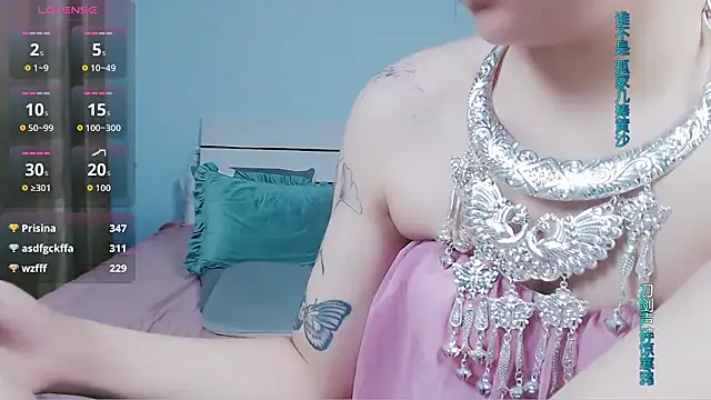 sasating webcam