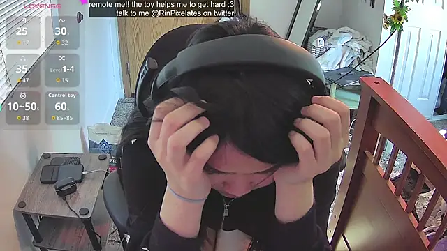 RinPixelates webcam