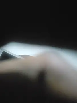 Geespise webcam