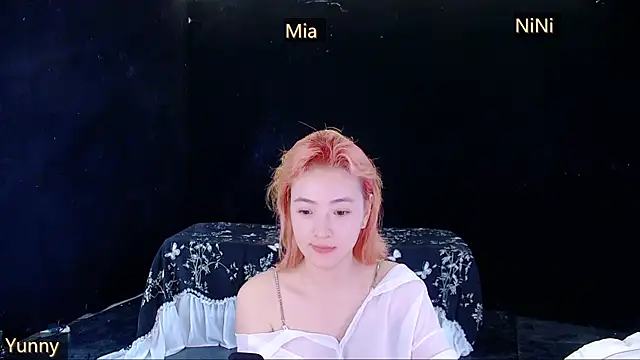 MiNi-U webcam