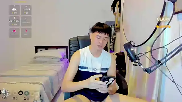 clarkdangerous webcam