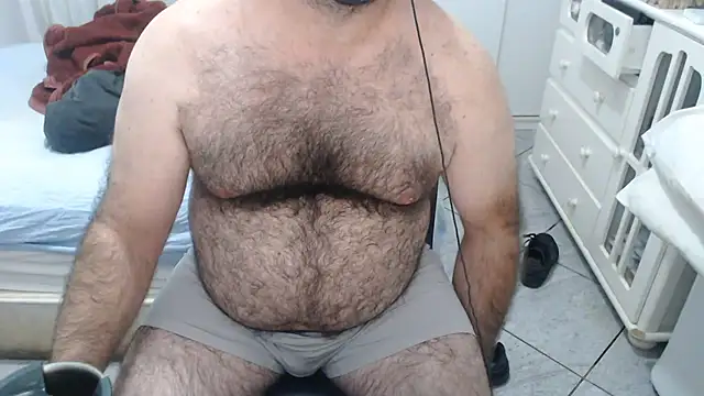MysterBearMG webcam