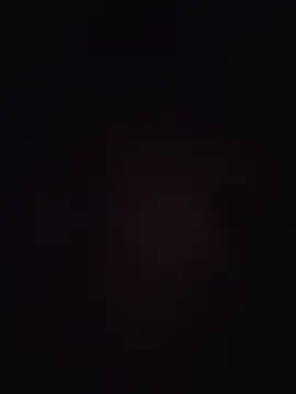 RikzAdam webcam