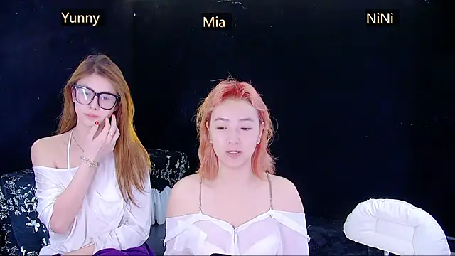 MiNi-U webcam