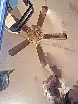 DaddyAndSplashQueen webcam