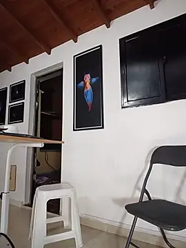 SilvaBranko webcam