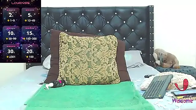 AnySugar webcam