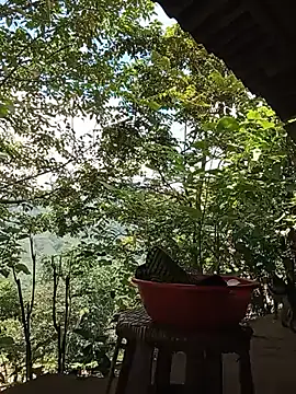 Td3di webcam