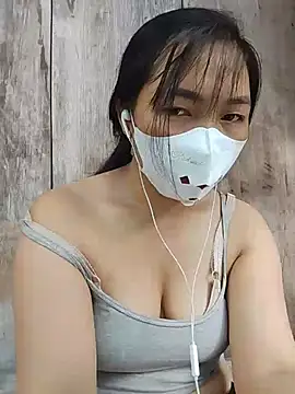 Hiha-nn webcam
