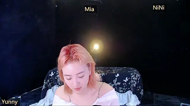 MiNi-U webcam
