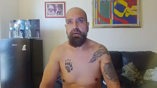AMIRDIB2025 webcam