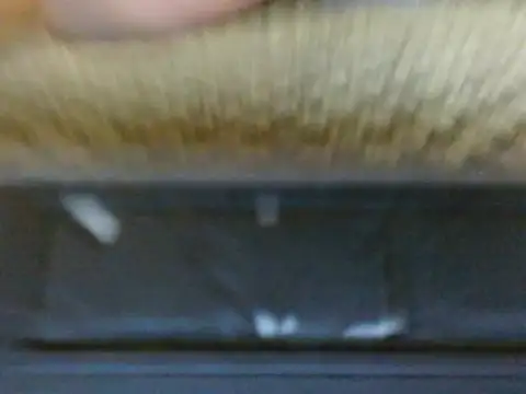 roziebeauty webcam