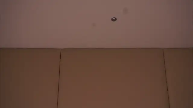 EdlinHargus webcam