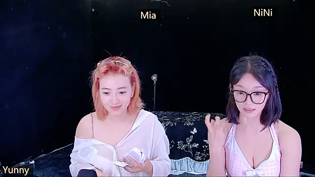 MiNi-U webcam