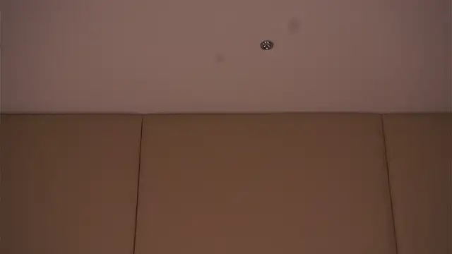 EdlinHargus live cam on StripChat