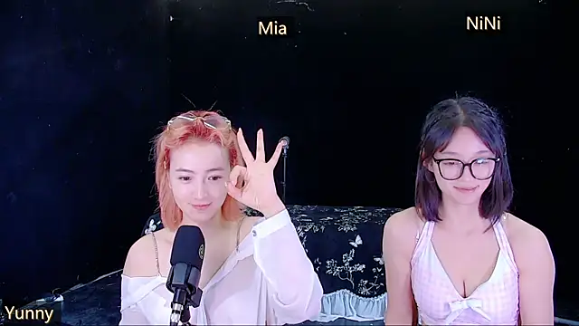 MiNi-U webcam