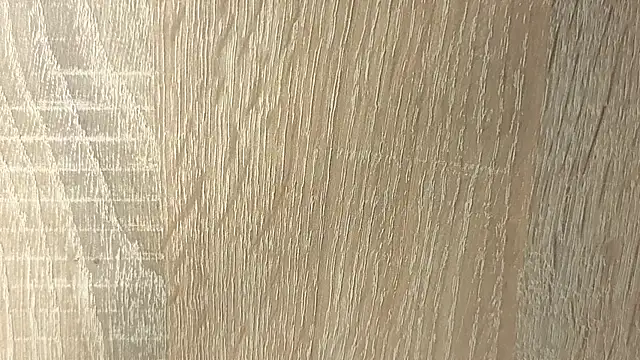 NoFace_Model webcam