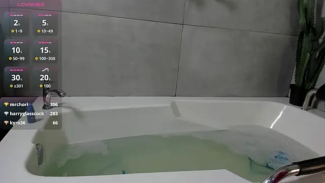 Roussy webcam