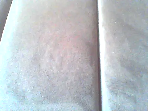 hulkandbarbra webcam