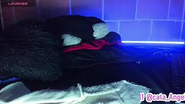 Cata-angel webcam