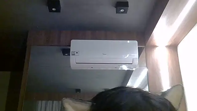 SkinnyKitten webcam