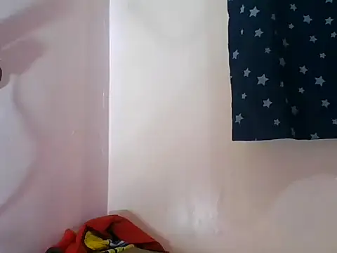 monlight_ webcam