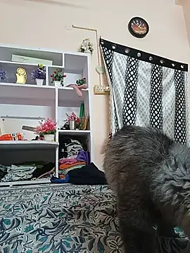 Hansikatelugu webcam