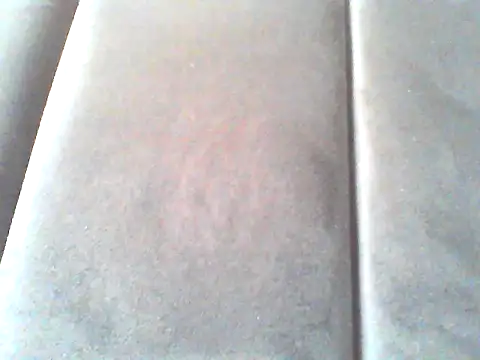 hulkandbarbra webcam