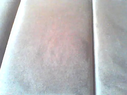 hulkandbarbra webcam