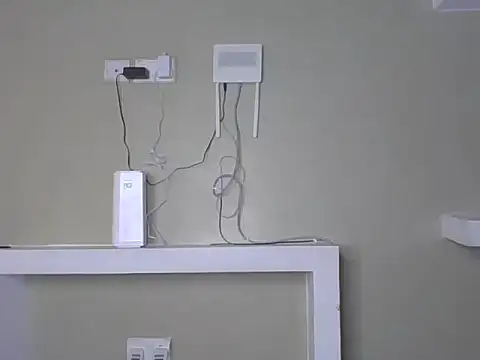 Elsie_1 webcam