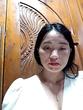 Td3di webcam