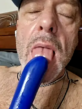Slydog1010 webcam