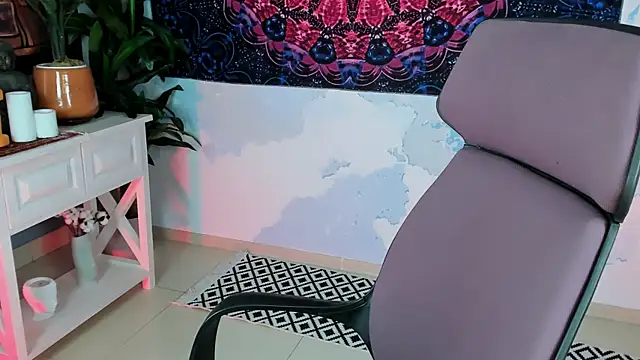 LidaDarknet webcam