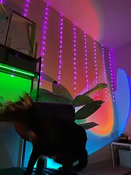 thebrattygoddess webcam