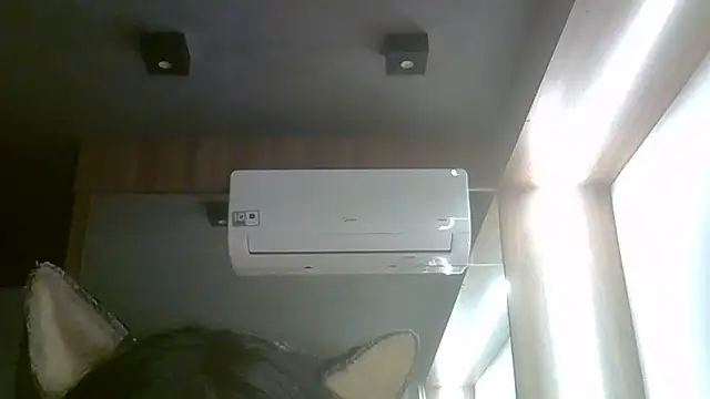 SkinnyKitten webcam