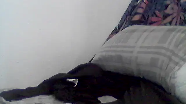 libraxxxstudios webcam