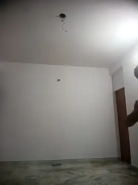Shaniya03 webcam